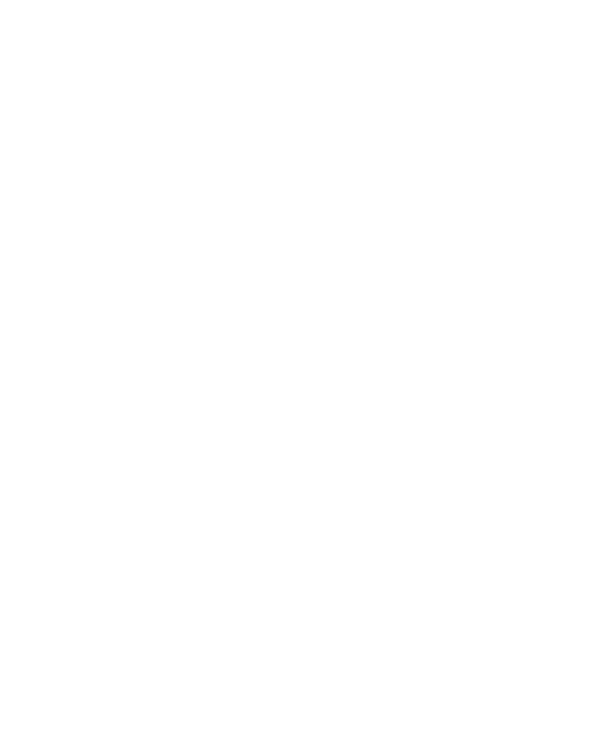 ncognito logo